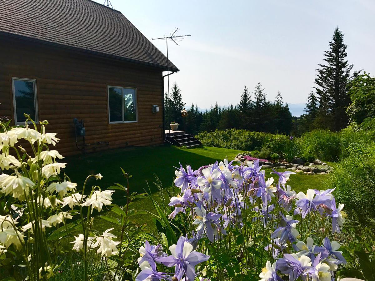 Cozy Cove Inn Homer Extérieur photo